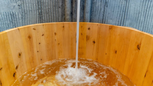 Sap Water vs. Traditional Hydrators: How Does It Stack Up?