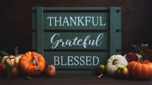 Thanksgiving Gratitude: Ways to Practice Self-Care During the Holidays