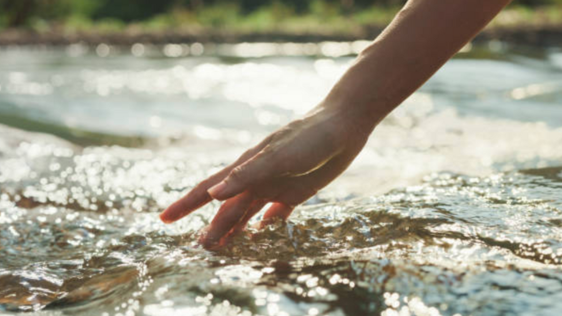 The Rise of Minimalist Skincare: Why Clean Maple's Simple Ingredients Are All You Need