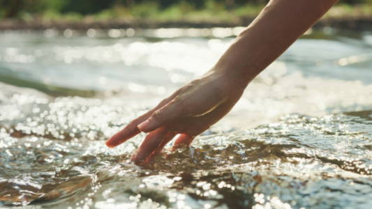 The Rise of Minimalist Skincare: Why Clean Maple's Simple Ingredients Are All You Need