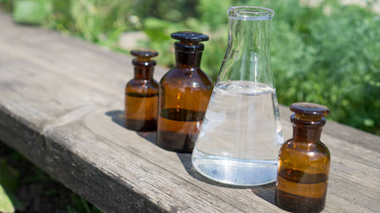 Preservatives: Why Clean Maple Uses Them and Why That’s a Good Thing