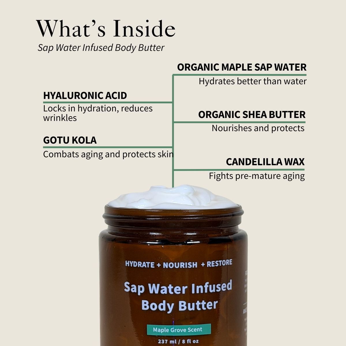 Sap Water Infused Body Butter – Clean Maple