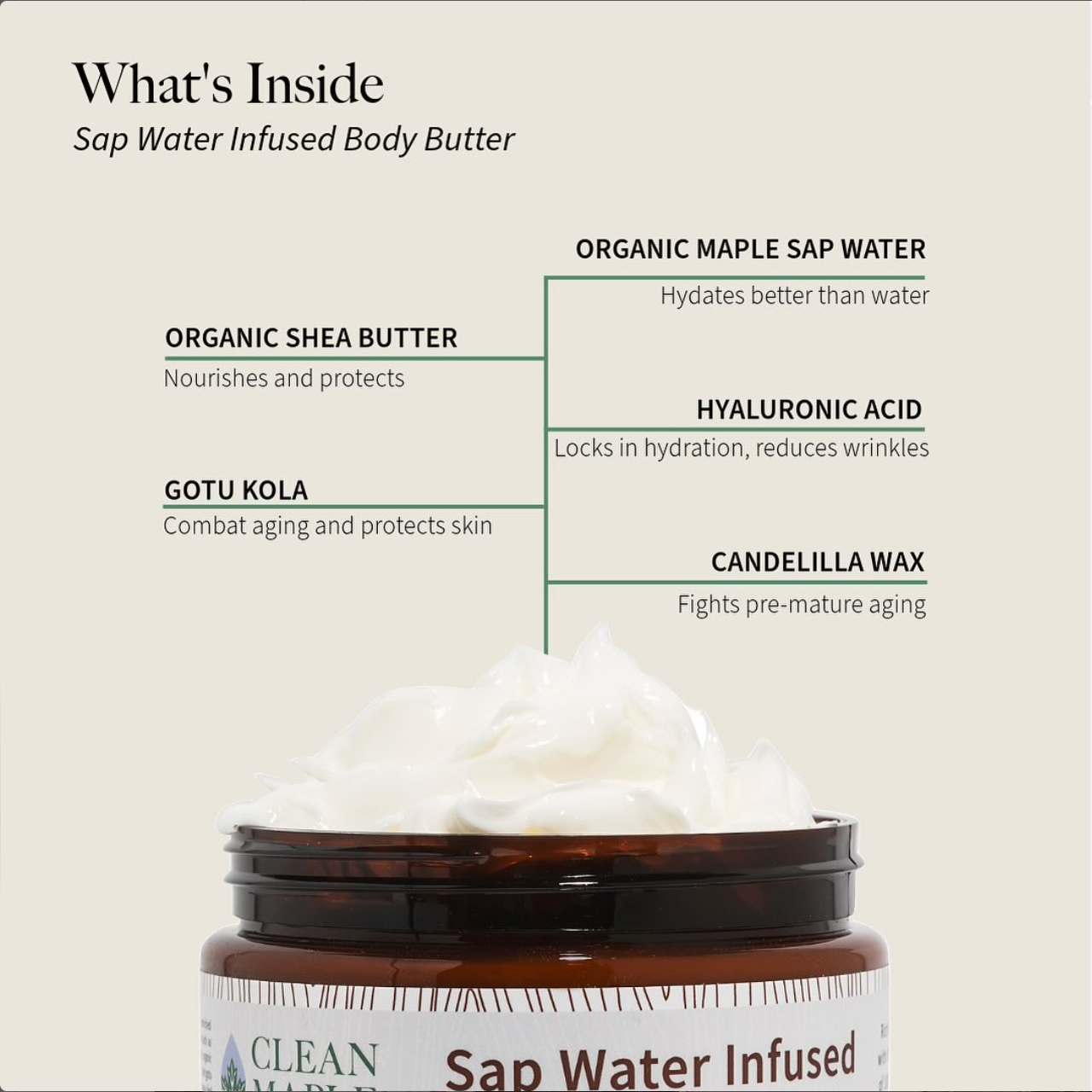 Sap Water Infused Body Butter